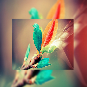 嗯灬啊灬用力别停老师动画
